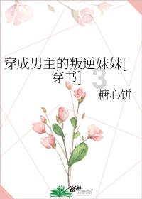 三国志13PK