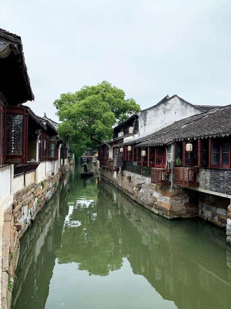 种粮农民“好卖粮”是实现颗粒归仓饭碗更牢